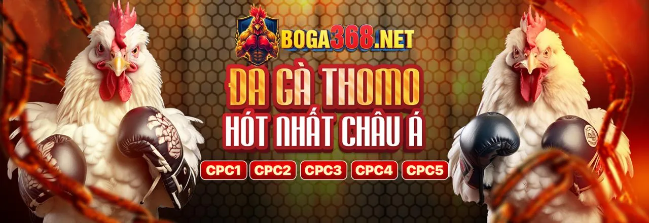 Đá gà trực tiếp tại fcb8 đăng ký với không khí sôi động